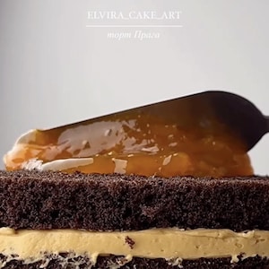 Prague Cake Recipe, Classic European Chocolate Cake with Custard Filling, Chocolate Layer, Easy-to-Follow Guide with Video, Download PDF