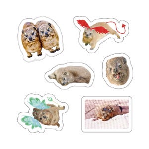 Hoja de calcomanías de Hyrax de 6" x 6", calcomanía troquelada para computadora portátil, calcomanía linda, regalo divertido para ella, meme, regalo para amantes de los animales, calcomanías extrañas, broma