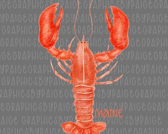 Watercolor Maine Lobster PNG: Coastal Seafood Clipart (Digital Download)