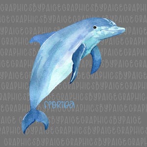 Watercolor Florida Dolphin PNG | Ocean Animal Clipart | Coastal Marine Life Art | Digital Download for Sublimation, Stickers & Decor