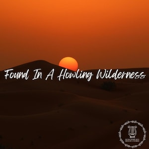 Ancient Relaxing Music: Found In A Howling Wilderness [Audio]|For Stress Relief & Deep Sleep|Calming, Refreshing Sounds|Ambient|MP3 Download