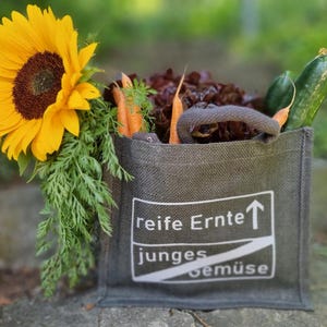 Aniversário/ Saco de juta / Saco de presente / Cesta de vegetais