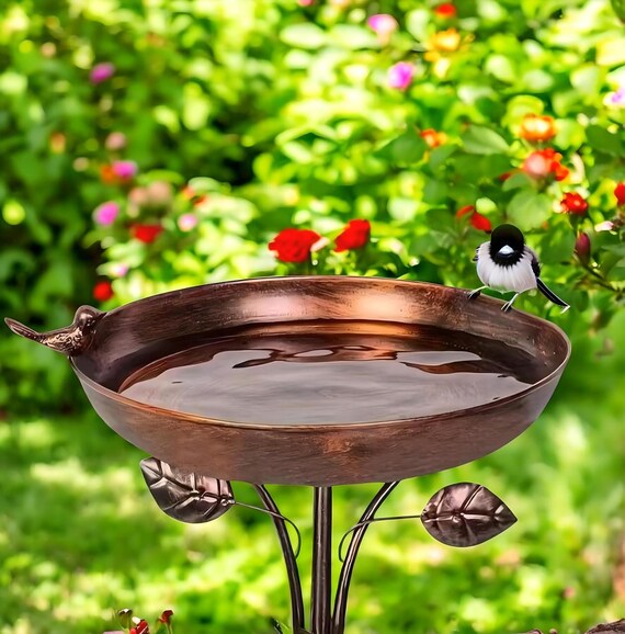 Vogeltränke Kupferscheibe – 11 Stück Set Für Vögel Im Garten