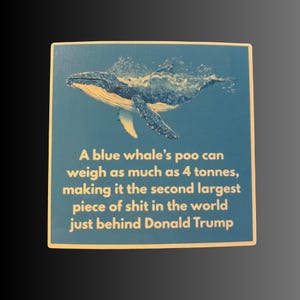 May include: Square blue graphic with a blue whale illustration and text. The text states that a blue whale's poo can weigh up to 4 tons, making it the second largest in the world, just behind Donald Trump.