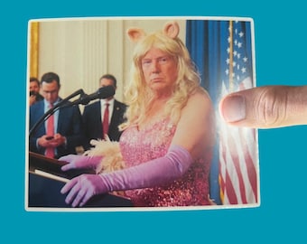 Trump Ms Piggy Sticker, Anti MAGA Funny Sticker, Democrat Sticker, Political humor, Politics Sticker, FDT, Anti Republican, Anti Trump