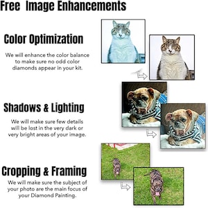 Puede incluir: Imagen que muestra mejoras de imagen gratuitas para kits de pintura de diamantes. El texto destaca la optimizaci&oacute;n del color, los ajustes de sombras e iluminaci&oacute;n y el recorte y encuadre. Ejemplos incluyen im&aacute;genes de gatos y perros.