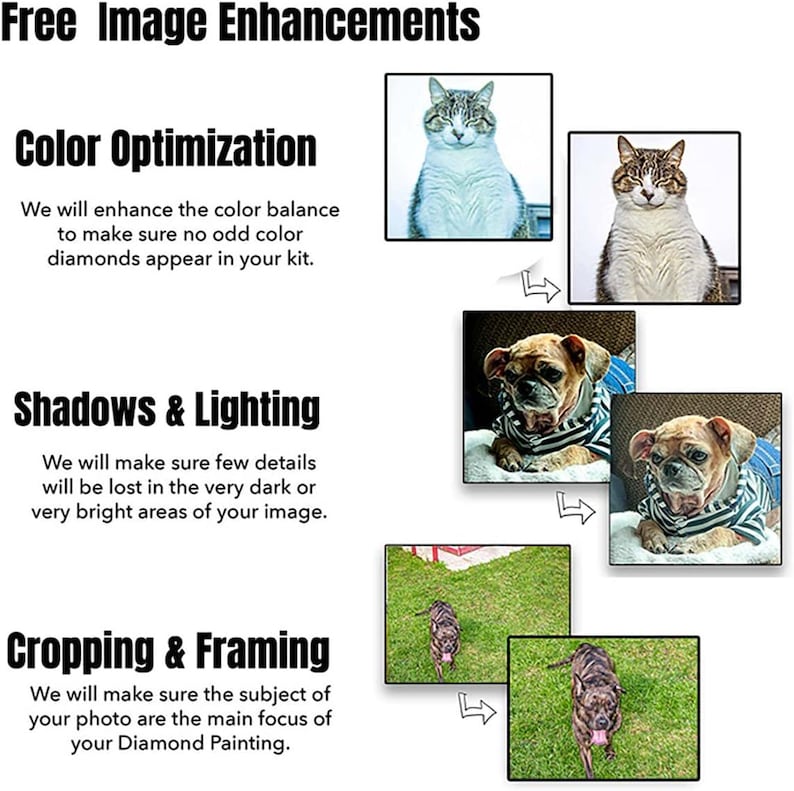 Puede incluir: Imagen que muestra mejoras de imagen gratuitas para kits de pintura de diamantes. El texto destaca la optimizaci&oacute;n del color, los ajustes de sombras e iluminaci&oacute;n y el recorte y encuadre. Ejemplos incluyen im&aacute;genes de gatos y perros.