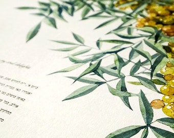 Signature Ketubah - Tuscany