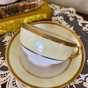 GOA Haviland Limoges France Two-Toned Tea cup and Saucer with Gold Trim