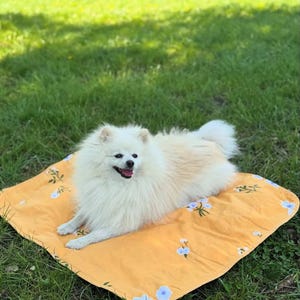 May include: A cream-coloured Pomeranian dog lies on a yellow blanket decorated with blue floral patterns. The dog is positioned on the blanket, which is placed on grass. Sunlight filters through the trees above.