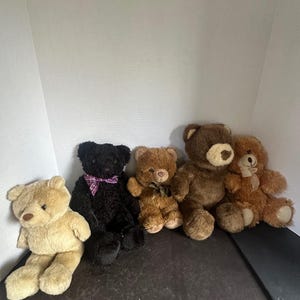 Può includere: Una collezione di cinque orsacchiotti di peluche in varie tonalità di marrone e nero. Gli orsi presentano una pelliccia morbida, dettagli del viso cuciti e alcuni indossano nastri decorativi intorno al collo, tra cui uno a quadri viola.