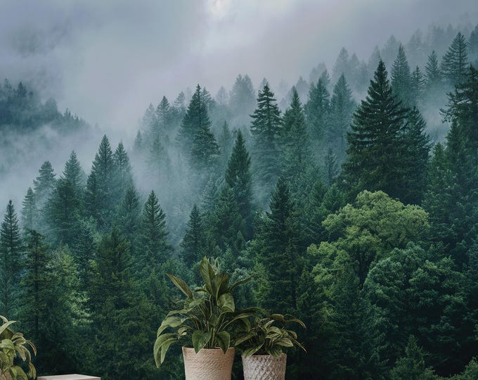 Dark Green Misty Forest Wall Mural, Peel and Stick Wallpaper, Removable ...