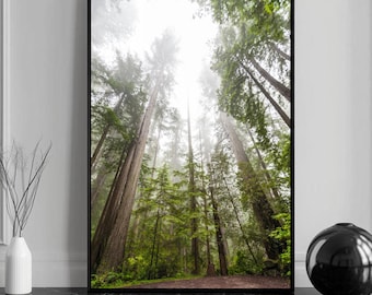 Wald Wand Kunst Natur Fotografie Druck Baum Landschaft Poster Wald Dekor grün Botanische Kunst Digitaler Download Skandinavischer Wald Print