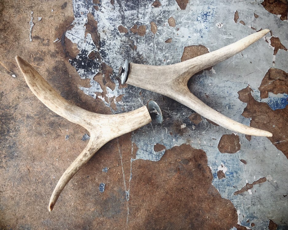 Vintage Set of Two Small Real Antler Forks for Hooks Drilled with