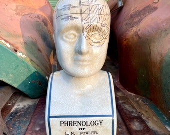 Vintage Ceramic Phrenology Head Statue Replica of Victorian Mind-Reading Science with Traits