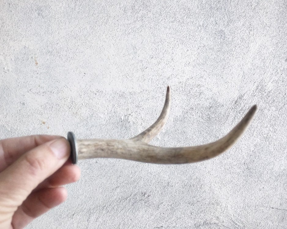 Vintage Set of Two Small Real Antler Forks for Hooks Drilled with