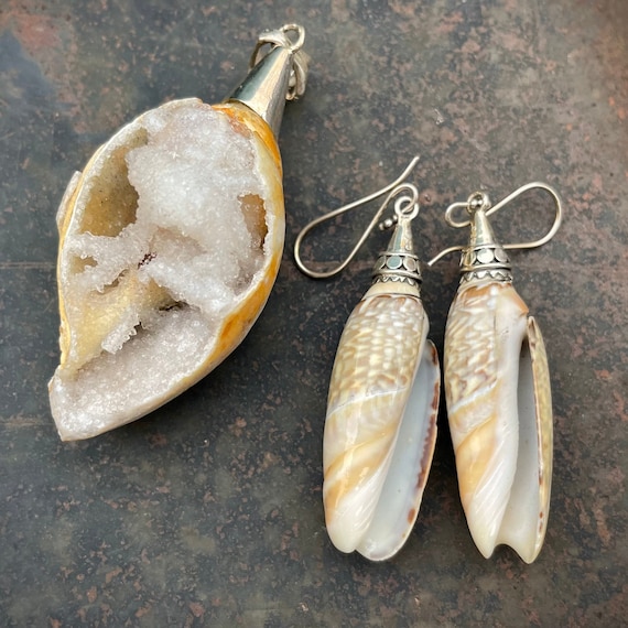 Shell shaped earrings online