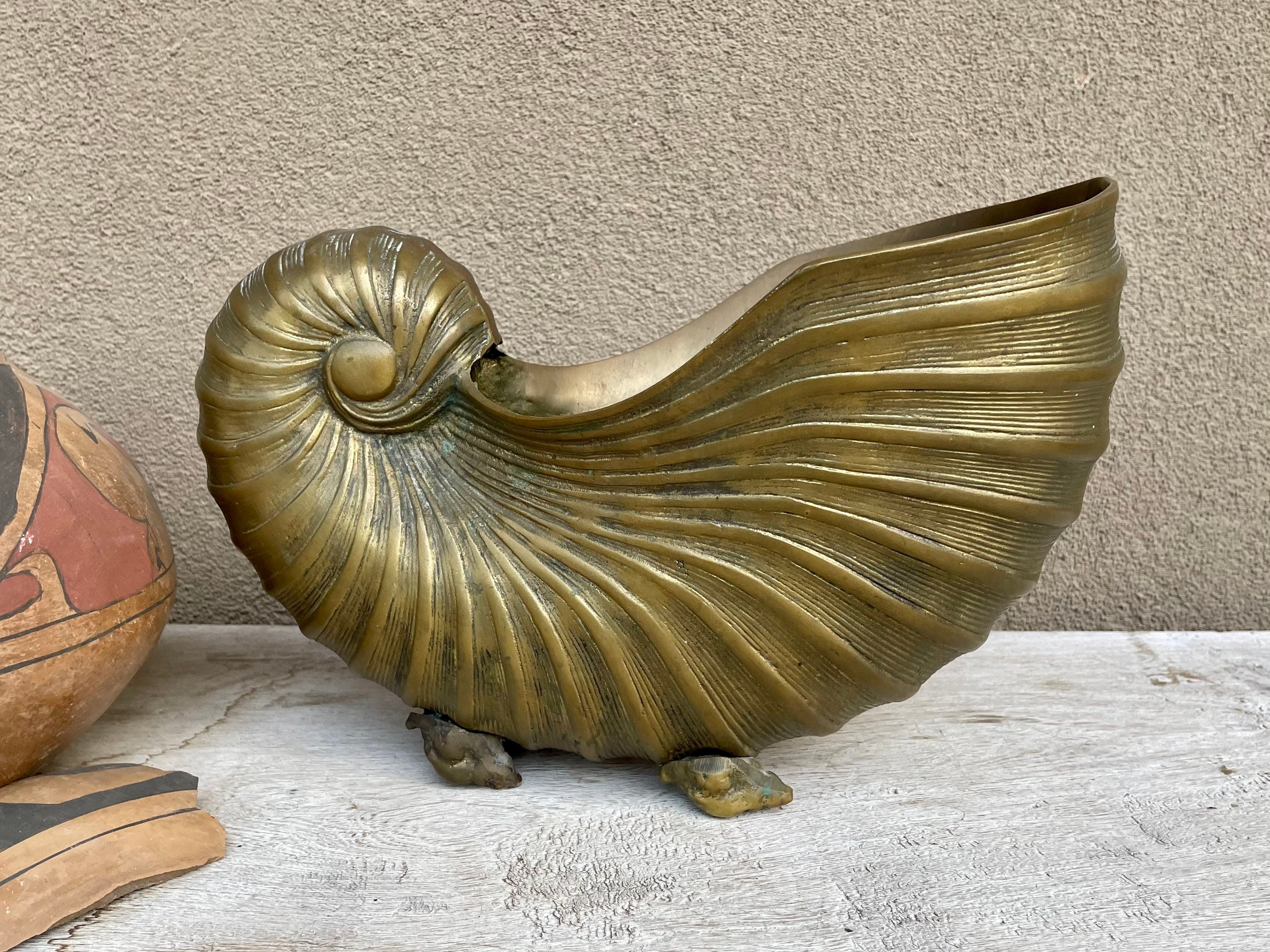 Brass Nautilus Seashell Planter Cachepot with Shell Feet, Large Wedding  Centerpiece Jardiniere