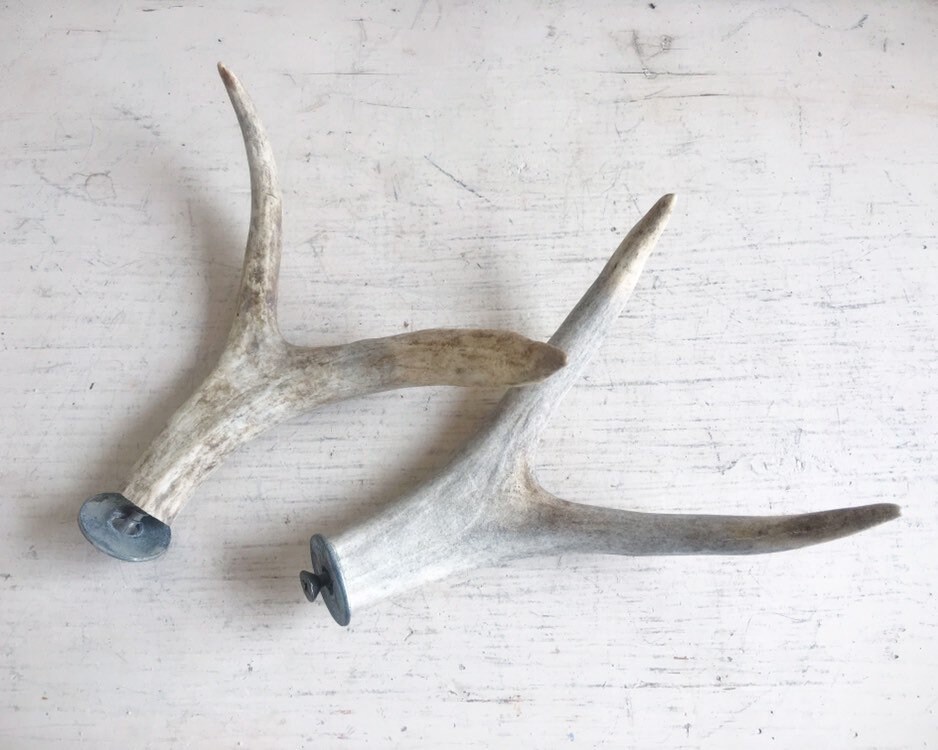 Vintage Set of Two Small Real Antler Forks for Hooks Drilled with