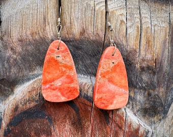 native american earrings