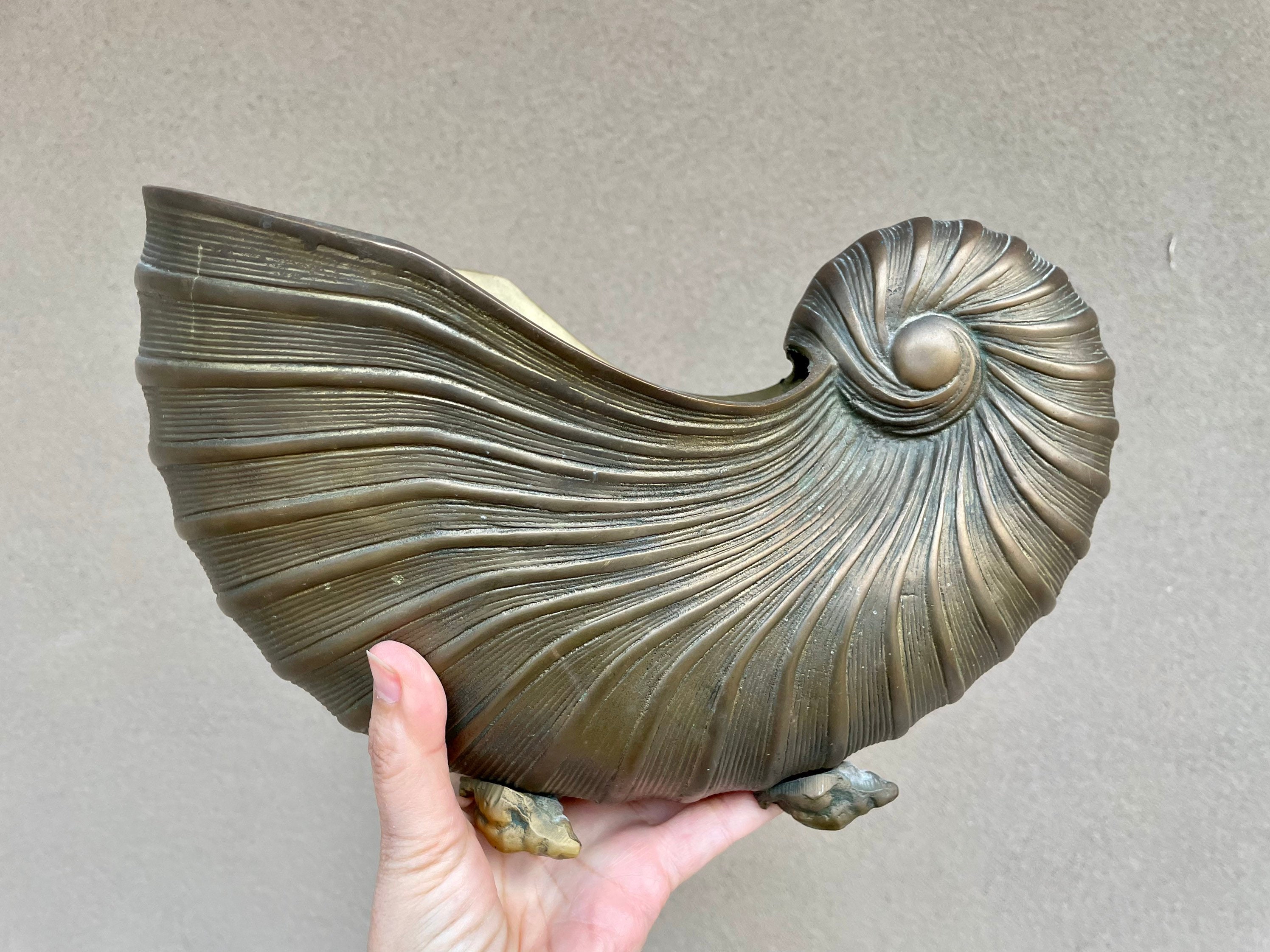 Brass Nautilus Seashell Planter Cachepot with Shell Feet, Large
