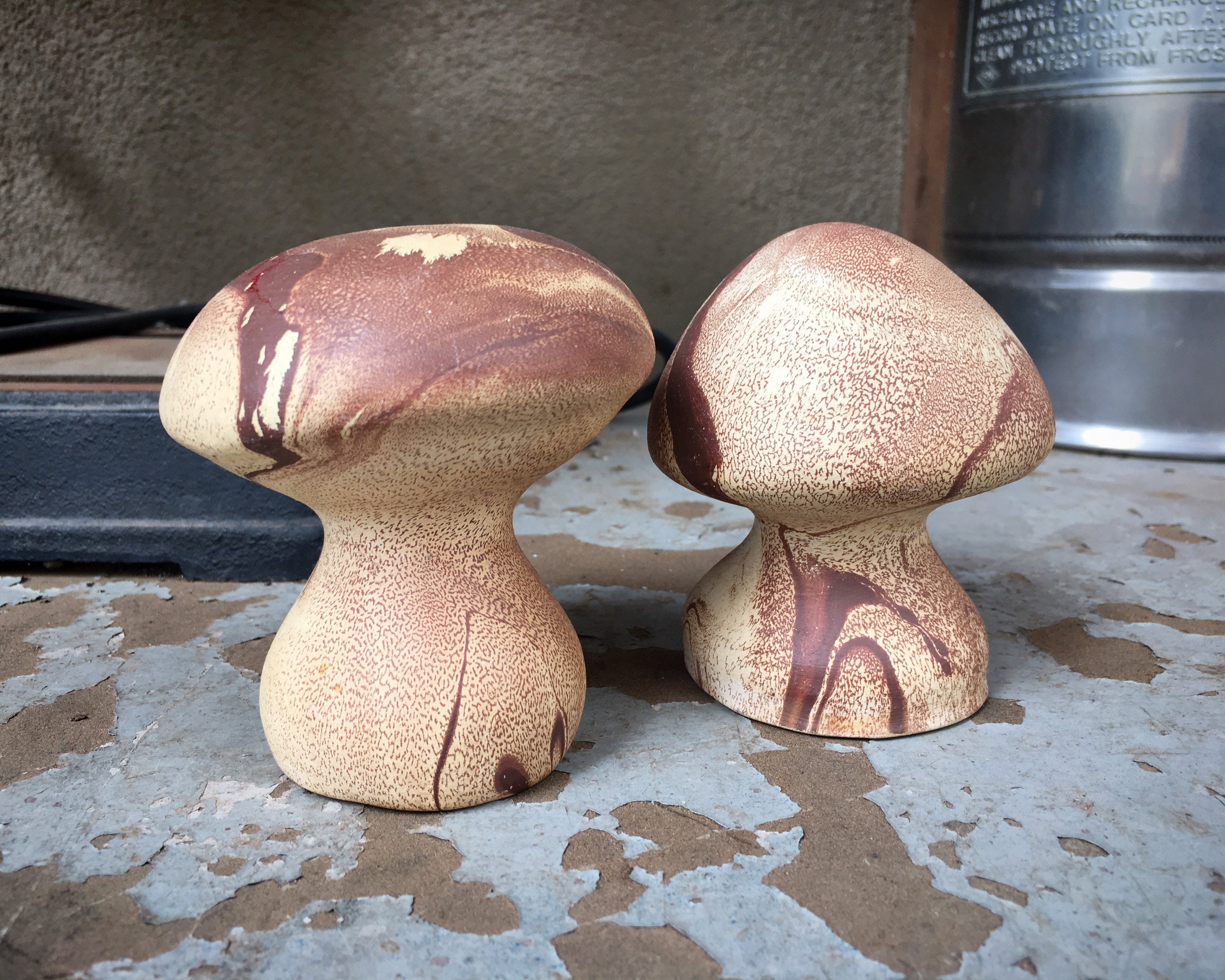 Wooden Mushroom Salt and Pepper Shakers