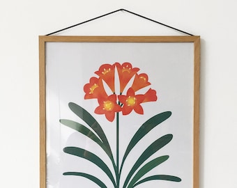 A3 Kaffir Lily Print