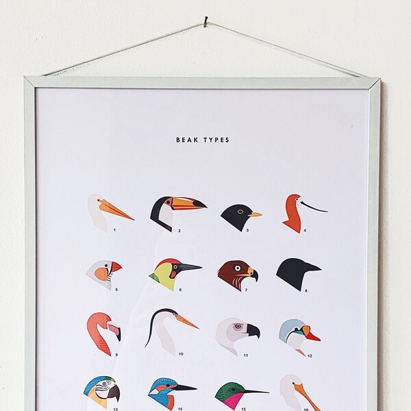 Bird Beak Etsy