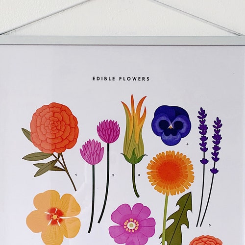 A3 Edible Flowers Print - Etsy