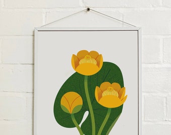 A3 Water Lily Print