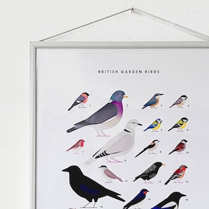 A3 Garden Birds Print