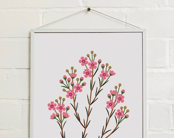 A3 Waxflower Print