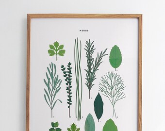 A2 Herbs Print