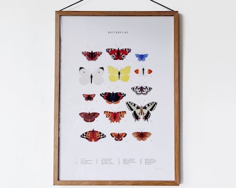 A3 Butterflies Print