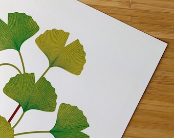 A3 Ginkgo Print