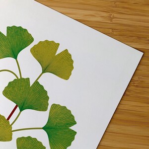 A3 Ginkgo Print