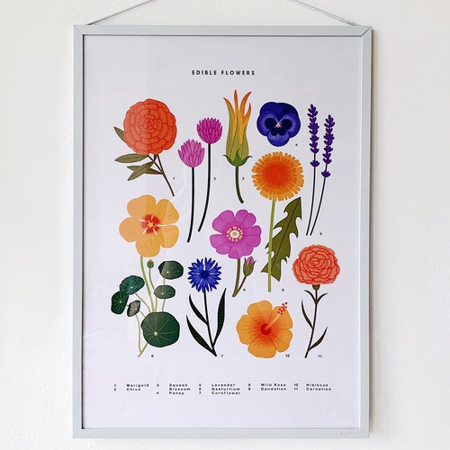 A3 Edible Flowers Print - Etsy