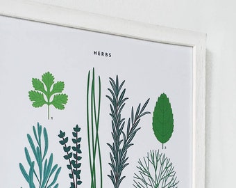 A3 Herbs Print