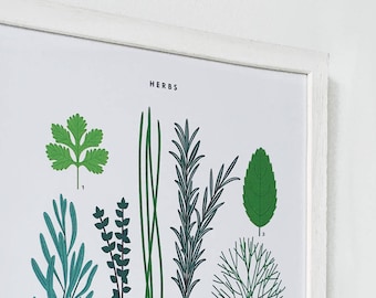 A3 Herbs Print