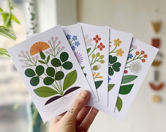 Stems Card Set