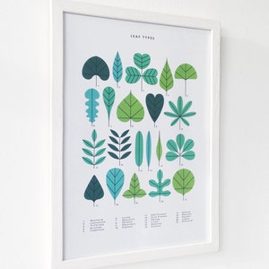 A3 Leaf Types print