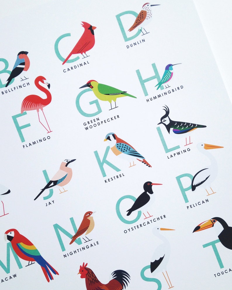 A3 Bird Alphabet Print Etsy UK