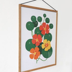 A3 Nasturtium Print image 2