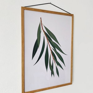 A3 Willow Print image 2