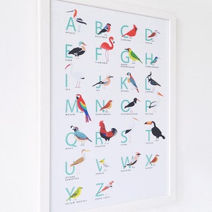 A3 Bird Alphabet print