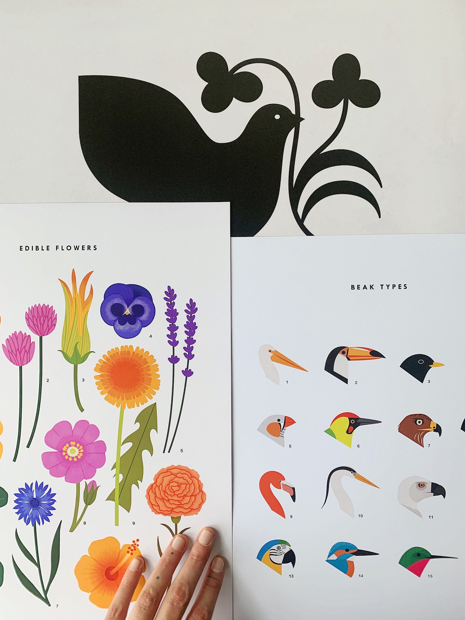 A3 Edible Flowers Print - Etsy