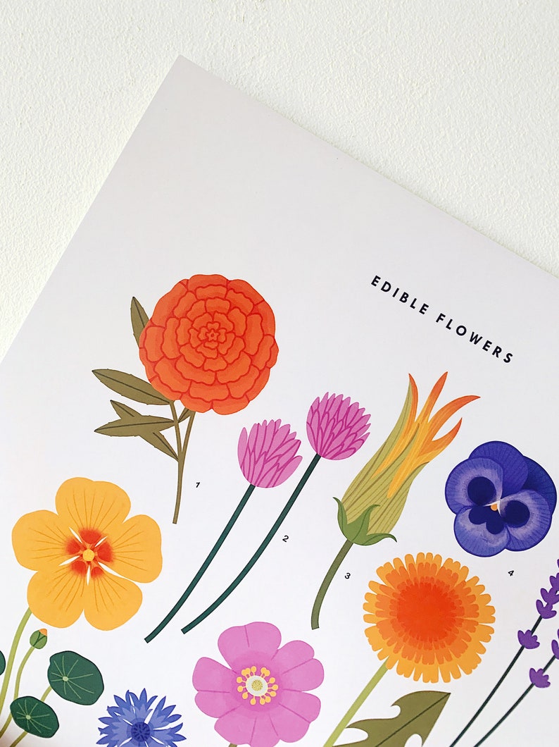 A3 Edible Flowers Print - Etsy