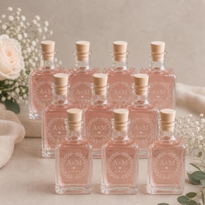 10 botellas de vidrio con tapones de corcho - 250 ml - Botellas de vidrio vacías para vino, licores, agua, zumo de frutas, conservas, leche, aceite.