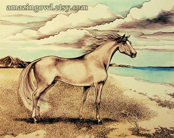 Horse on the Beach - 8 x 10 giclee print