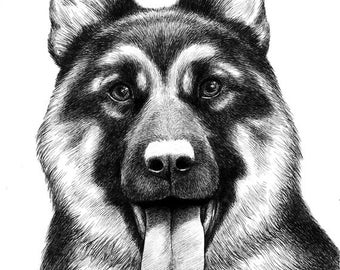 German Shepherd - 8x10 Giclee Print